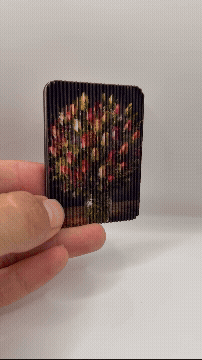 Flowers in bloom Lenticular print 